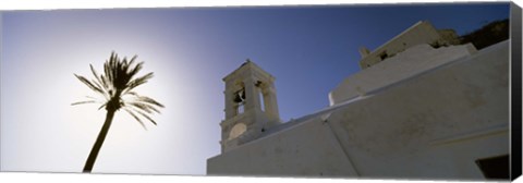 Framed Low angle view of a palm tree near a church , Ios, Cyclades Islands, Greece Print