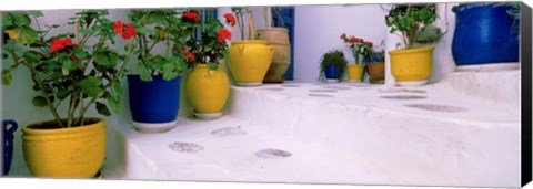 Framed Potted plants on steps, Mykonos, Cyclades Islands, Greece Print