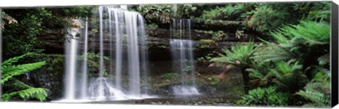 Framed Waterfall in a forest, Russell Falls, Mt Field National Park, Tasmania, Australia Print