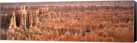 Framed Aerial View Of The Grand Canyon, Bryce Canyon National Park, Utah, USA Print