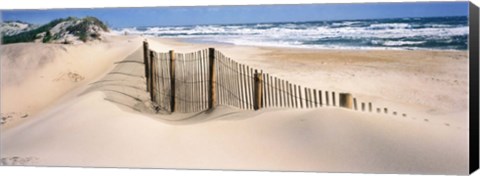 Framed Outer Banks, North Carolina, USA Print