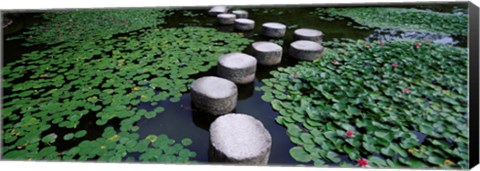 Framed Water Lilies In A Pond, Helan Shrine, Kyoto, Japan Print