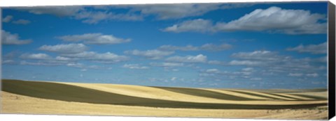 Framed Clouded sky over a striped field, Geraldine, Montana, USA Print