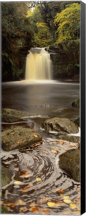 Framed Waterfall In A Forest, Thomason Foss, Goathland, North Yorkshire, England, United Kingdom Print