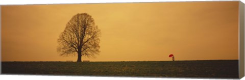 Framed Man standing with an umbrella near a tree, Baden-Wuerttemberg, Germany Print