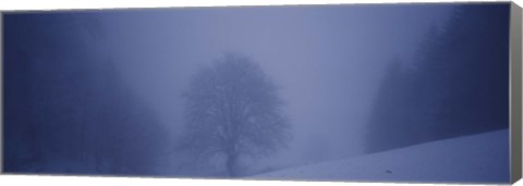 Framed Trees on a snow covered landscape, Schauinsland, Germany Print