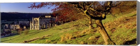 Framed Church On A Landscape, Rievaulx Abbey, North Yorkshire, England, United Kingdom Print