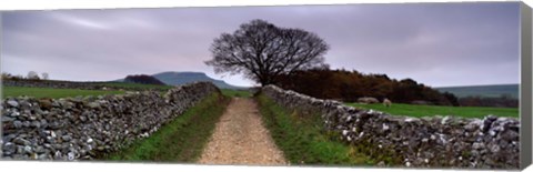Framed Stone Walls Along A Path, Yorkshire Dales, England, United Kingdom Print