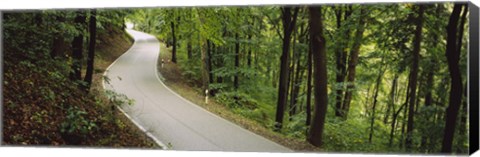 Framed Empty road running through a forest, Stuttgart, Baden-Wurttemberg, Germany Print