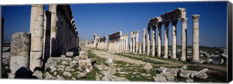 Framed Old ruins on a landscape, Cardo Maximus, Apamea, Syria Print