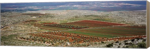 Framed Panoramic view of a landscape, Aleppo, Syria Print