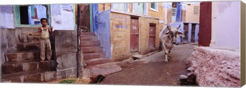 Framed Boy and a bull in front of building, Jodhpur, Rajasthan, India Print