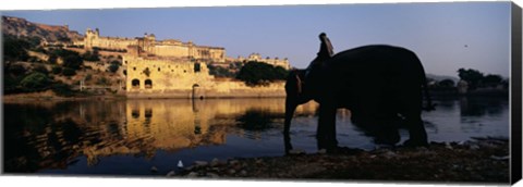 Framed Side profile of a man sitting on an elephant, Amber Fort, Jaipur, Rajasthan, India Print