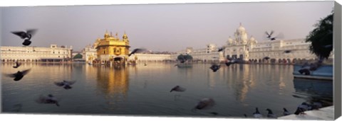 Framed Reflection of a temple in a lake, Golden Temple, Amritsar, Punjab, India Print
