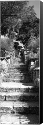 Framed Low angle view of steps in a garden, Neptune&#39;s Steps, Tresco Abbey Garden, Tresco, Isles Of Scilly, England Print