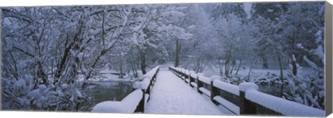 Framed Trees along a snow covered footbridge, Yosemite National Park, California, USA Print