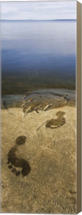 Framed High angle view of wet footprints on a rock, Lake Pielinen, Lieksa, Finland Print