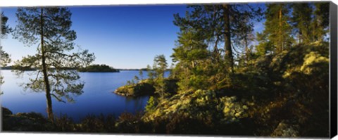 Framed Trees at the lakeside, Lake Saimaa, Puumala, Finland Print