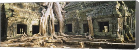 Framed Close up of Old ruins of a building, Angkor Wat, Cambodia Print