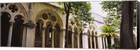 Framed Trees in front of a monastery, Dominican Monastery, Dubrovnik, Croatia Print