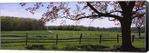 Framed Wooden fence in a farm, Knox Farm State Park, East Aurora, New York State, USA Print