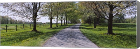 Framed Road passing through a farm, Knox Farm State Park, East Aurora, New York State, USA Print