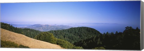 Framed High angle view of a forest, Mt Tamalpais, California, USA Print