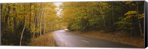 Framed Road passing through a forest, Park Loop Road, Acadia National Park, Mount Desert Island, Maine, USA Print