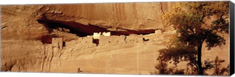 Framed Tree in front of the ruins of cliff dwellings, White House Ruins, Canyon de Chelly National Monument, Arizona, USA Print