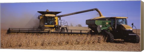 Framed Combine harvesting soybeans in a field, Minnesota Print