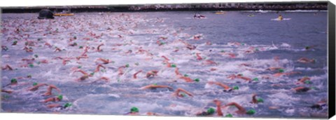 Framed Triathlon athletes swimming in water in a race, Ironman, Kailua Kona, Hawaii, USA Print