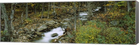 Framed Stream through the Forest, New Hampshire Print