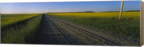 Framed Country Road in Millet, Canada Print