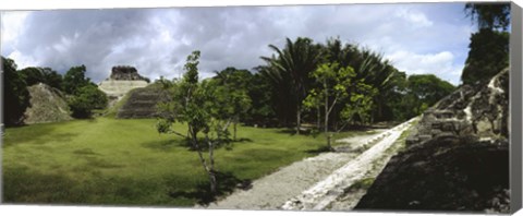 Framed Old ruins of a temple in a forest, Xunantunich, Belize Print