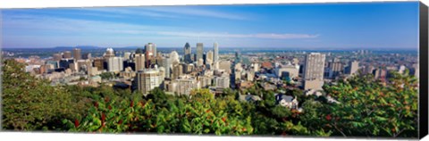 Framed High angle view of a cityscape, Parc Mont Royal, Montreal, Quebec, Canada Print