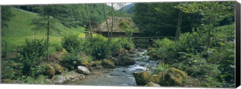 Framed River flowing through forest, Black Forest, Glottertal, Germany Print