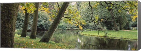 Framed Trees near a pond in a park, Vondelpark, Amsterdam, Netherlands Print