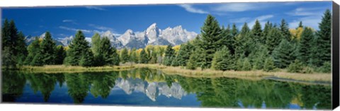 Framed Reflection of trees in water with mountains, Schwabachers Landing, Grand Teton, Grand Teton National Park, Wyoming, USA Print