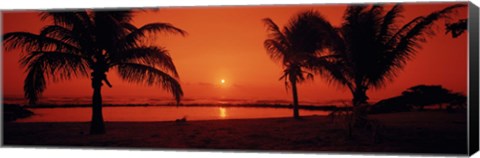 Framed Silhouette of palm trees on the beach at dusk, Lydgate Park, Kauai, Hawaii, USA Print