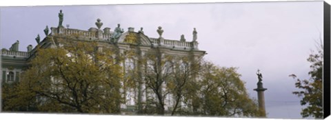 Framed Tree in front of a palace, Winter Palace, State Hermitage Museum, St. Petersburg, Russia Print