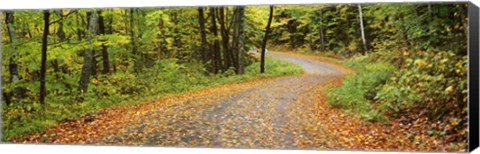 Framed Road passing through a forest, Country Road, Peacham, Caledonia County, Vermont, USA Print