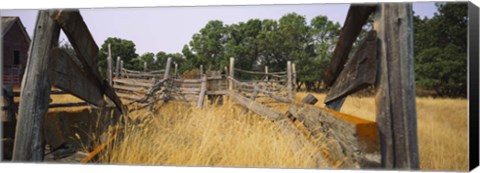 Framed Ranch cattle chute in a field, North Dakota, USA Print