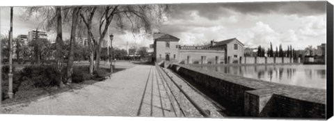 Framed Park near a pool in a city, Parque De La Buhaira, Sevilla, Seville Province, Andalusia, Spain Print