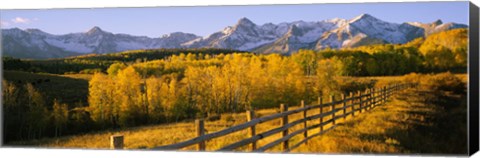 Framed Trees in a field near a wooden fence, Dallas Divide, San Juan Mountains, Colorado Print