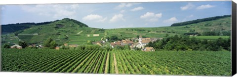 Framed Vineyards near a village, Oberbergen, Der Vogelsangpass, Bereich Kaiserstuhl, Baden-Wurttemberg, Germany Print