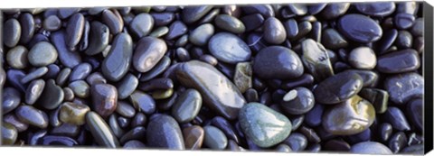 Framed Close-up of pebbles, Sandymouth Beach, Cornwall, England Print