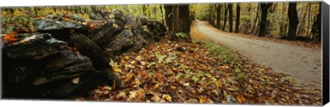 Framed Road passing through a forest, White Mountains, New Hampshire Print