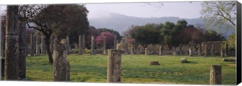 Framed Ancient Olympia, Olympic Site, Greece Print