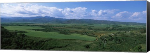 Framed High angle view of sugar cane fields, Cienfuegos, Cienfuegos Province, Cuba Print