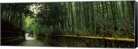 Framed Road passing through a bamboo forest, Arashiyama, Kyoto Prefecture, Kinki Region, Honshu, Japan Print